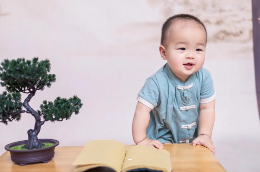 蓬莱可爱的企鹅宝宝
